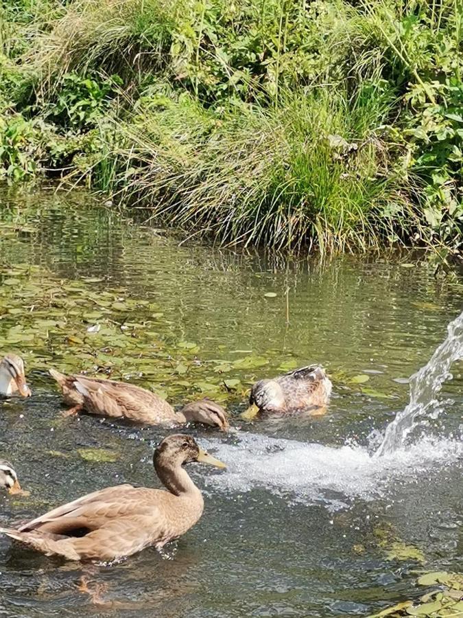 Appartamento Rainerhof Murau Esterno foto